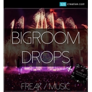 Bigroom house construction kit, big room samples, bigroom pluck loops