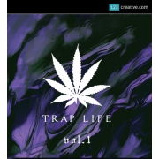 Trap loops one-shots vocals, hip hop vocals, future bass loops