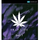 Trap loops one-shots vocals, hip hop vocals, future bass loops