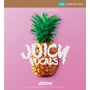 edm vocals sample pack, edm vocal samples, male vocal samples, female vocal samples