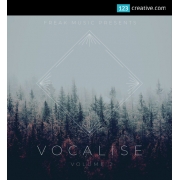 Vocalize Vol.2 - vocal samples / vocal instruments