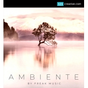 Ambiente - MIDI Kits, WAV Loops, Spire Presets, drum and FX samples