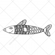 cute fish vector