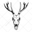deer skull vector
