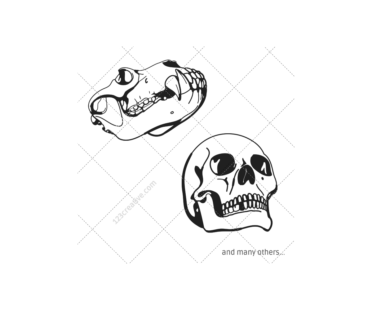 Human and animal skulls vector pack - sketch skull vectors (skull head, animal  skull - deer, cow, bull skull vector)