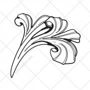 decorative ornament vector