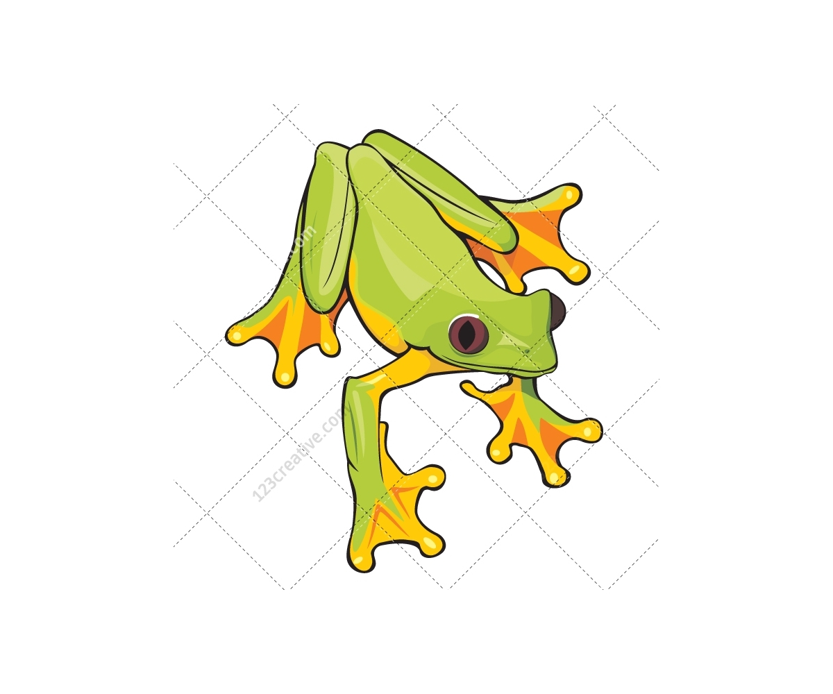 Frog vector  pack various frog illustrations for 