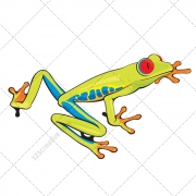 Frog vector pack 1